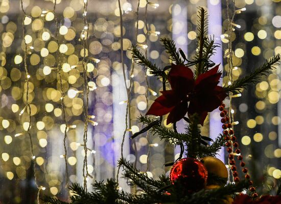 Moscow ahead of New Year