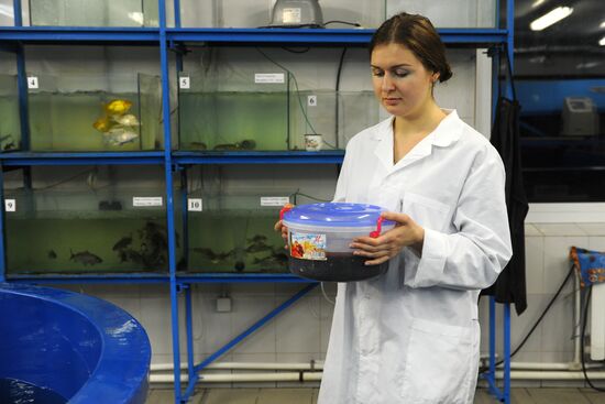Fish-breeding and aquaculture complex in Rostov Region