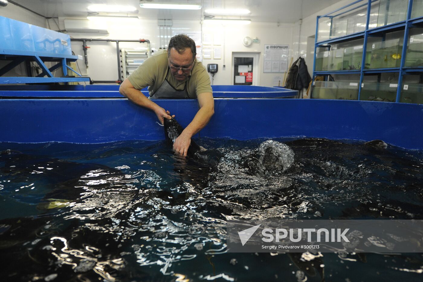 Fish-breeding and aquaculture complex in Rostov Region