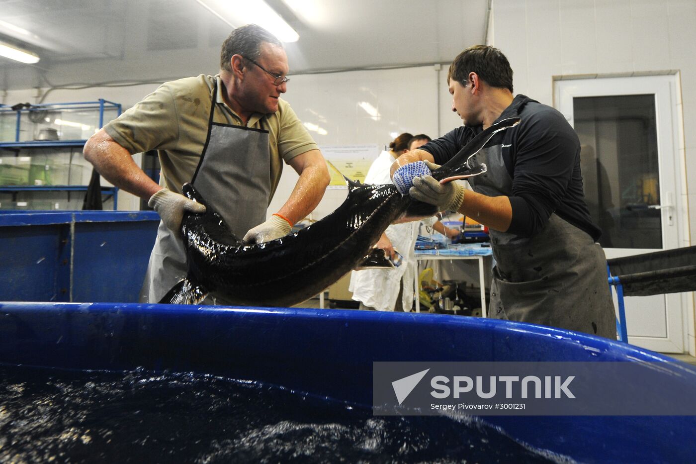 Fish-breeding and aquaculture complex in Rostov Region