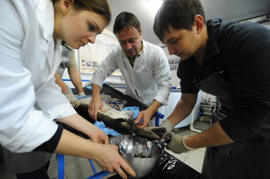 Fish-breeding and aquaculture complex in Rostov Region