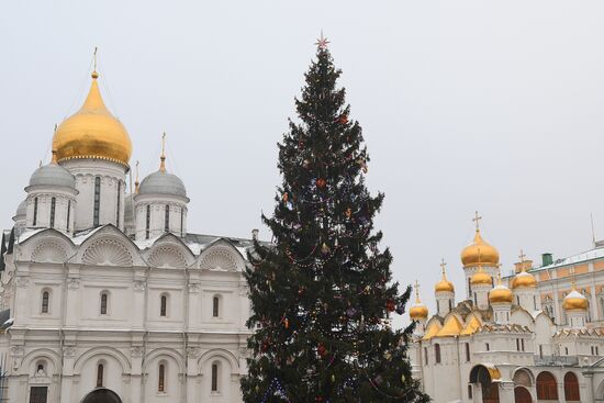 Decoration of the Christmas Tree in the Moscow Kremlin's Cathedral Square