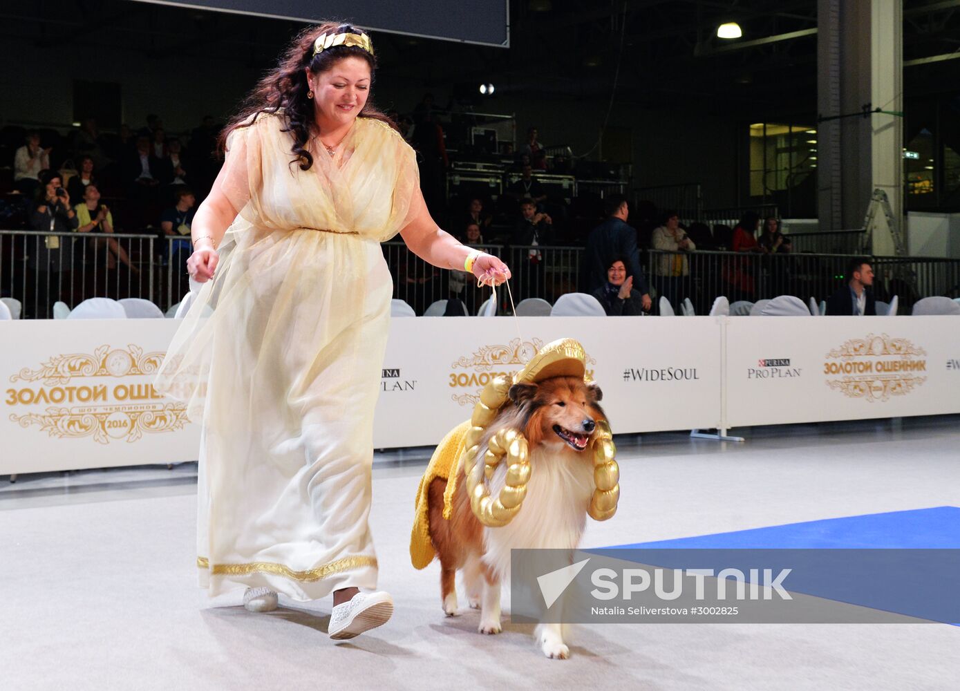 Golden Collar 2016 dog show