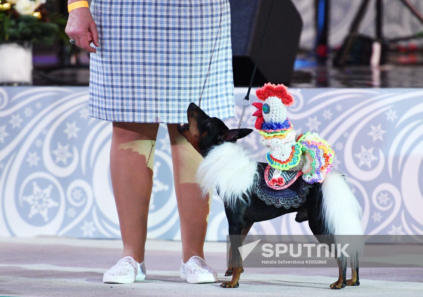Golden Collar 2016 dog show