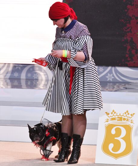 Golden Collar 2016 dog show