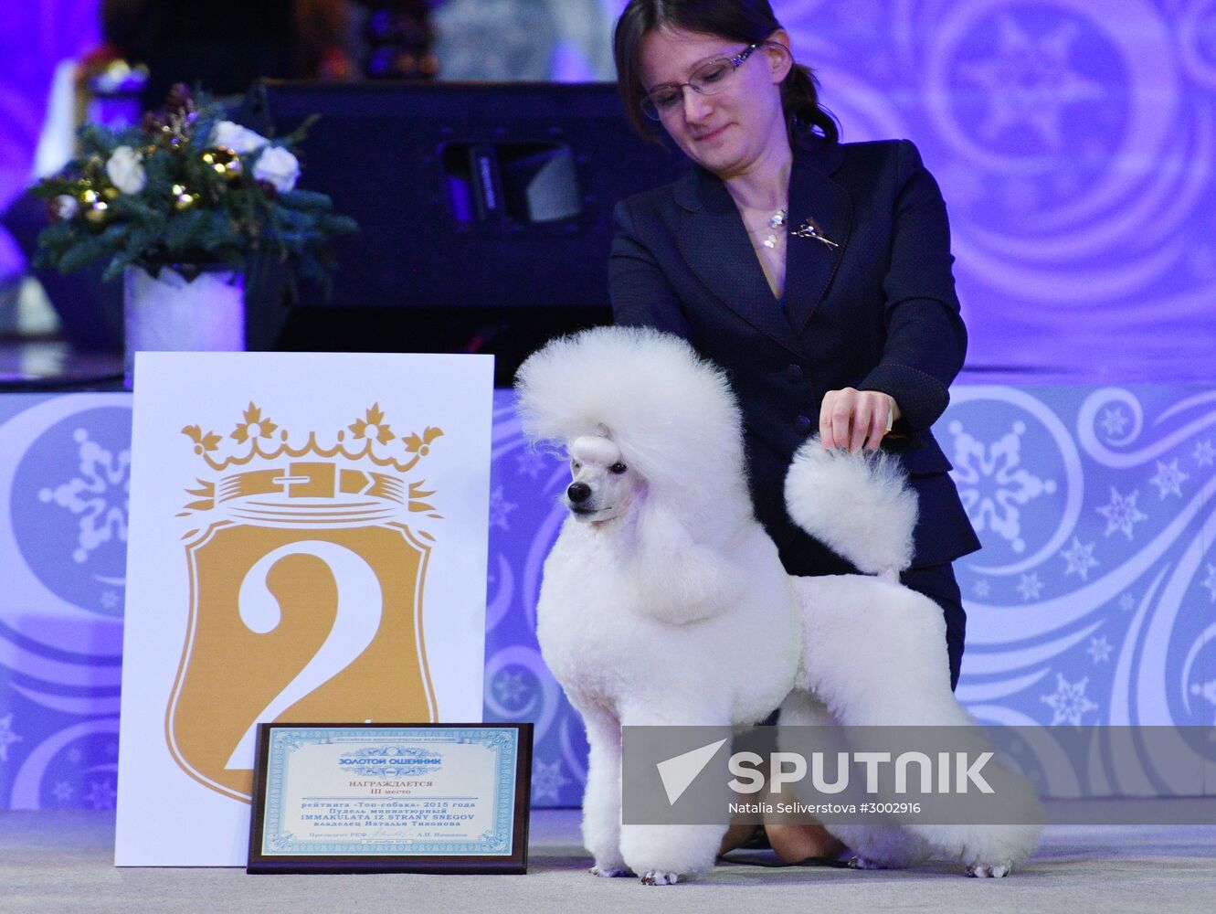 Golden Collar 2016 dog show