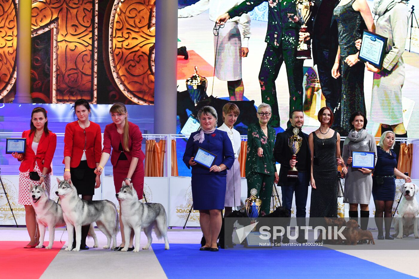 Golden Collar 2016 dog show