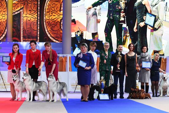 Golden Collar 2016 dog show