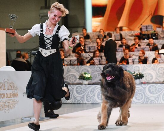Golden Collar 2016 dog show