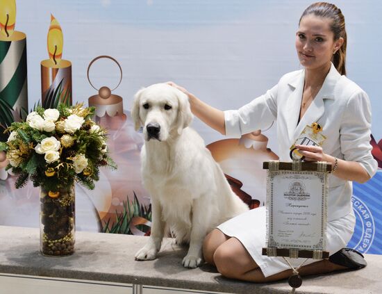 Golden Collar 2016 dog show