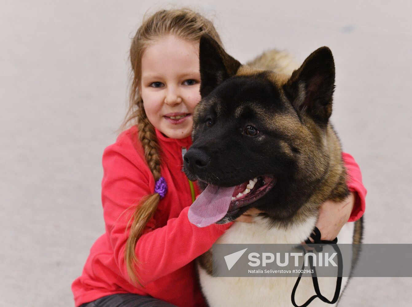 Golden Collar 2016 dog show