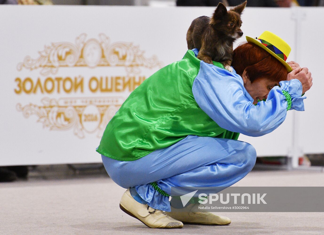 Golden Collar 2016 dog show