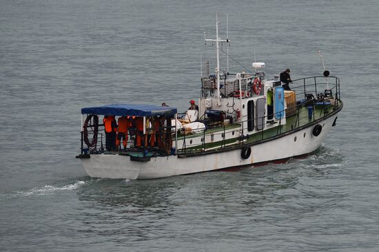 Rescue operation at Russian Defense Ministry's TU-154 crash site in Sochi