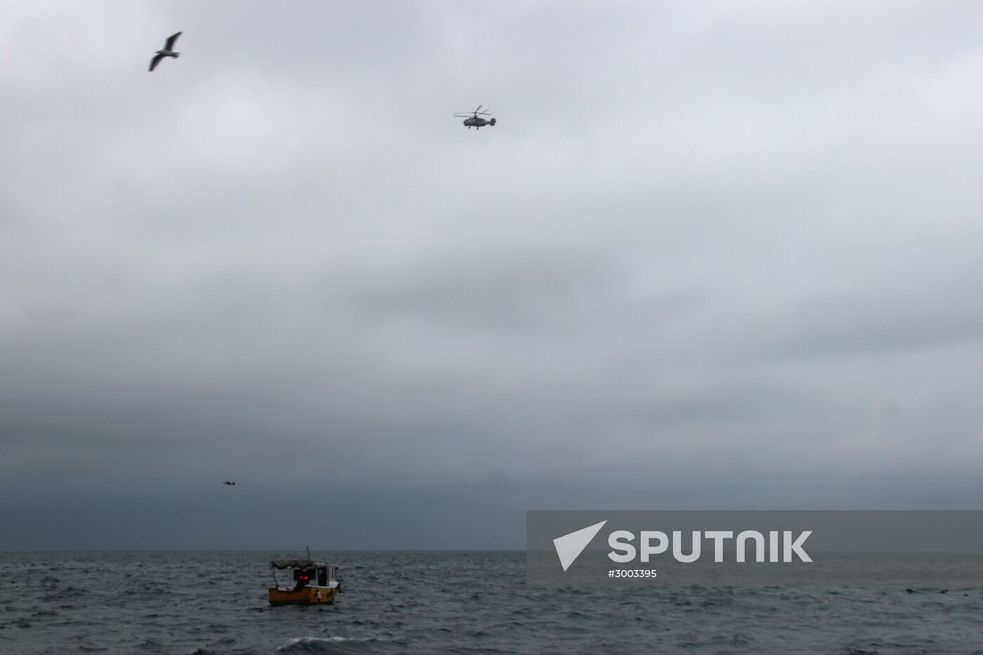 Russian Defense Ministry's TU-154 aircraft crash site in Sochi
