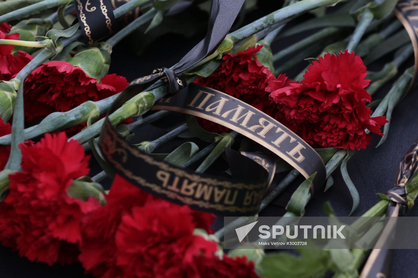 Day of mourning in memory of Tu-154 crash victims