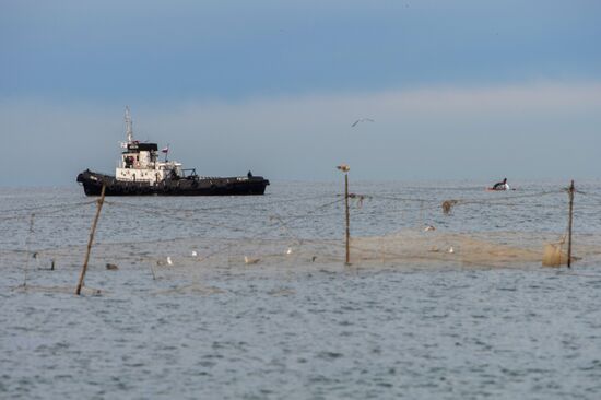 Search operations underway after Tu-154 crash in Black Sea
