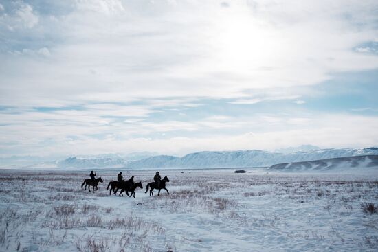 Berkutchi Festival in Kazakhstan