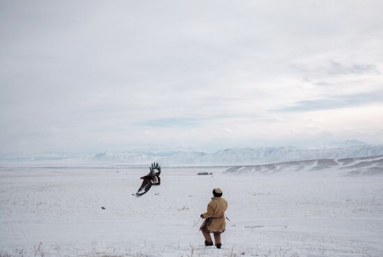 Berkutchi Festival in Kazakhstan