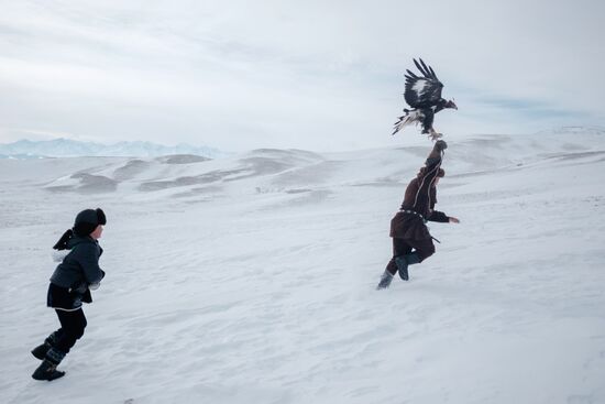 Berkutchi Festival in Kazakhstan