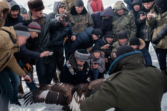 Berkutchi Festival in Kazakhstan