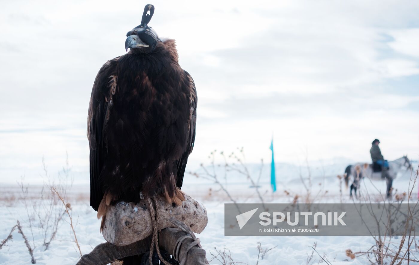 Berkutchi Festival in Kazakhstan