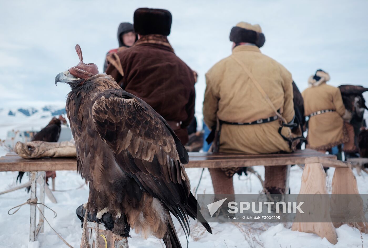 Berkutchi Festival in Kazakhstan