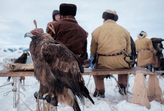 Berkutchi Festival in Kazakhstan