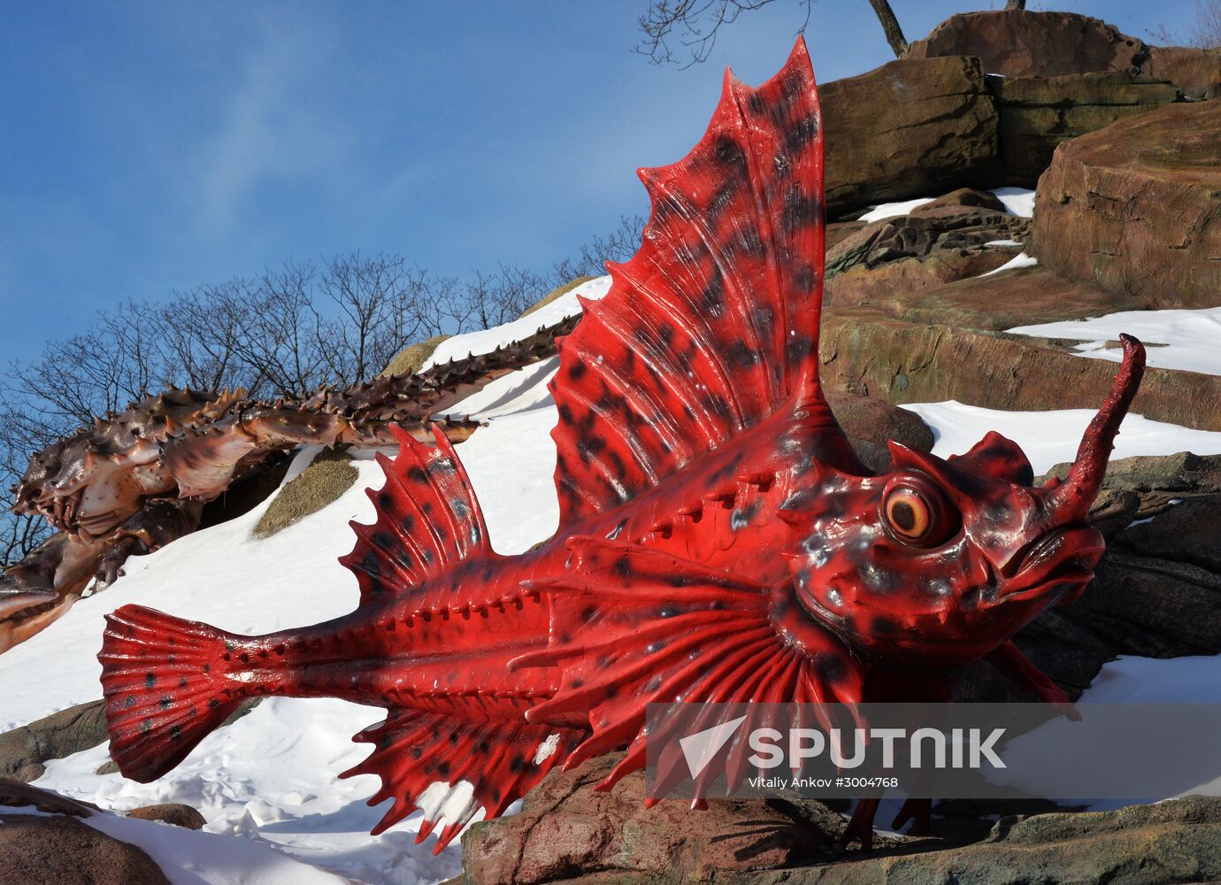 Primorsky Aquarium in Vladivostok