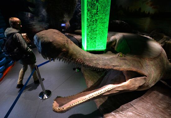 Primorsky Aquarium in Vladivostok