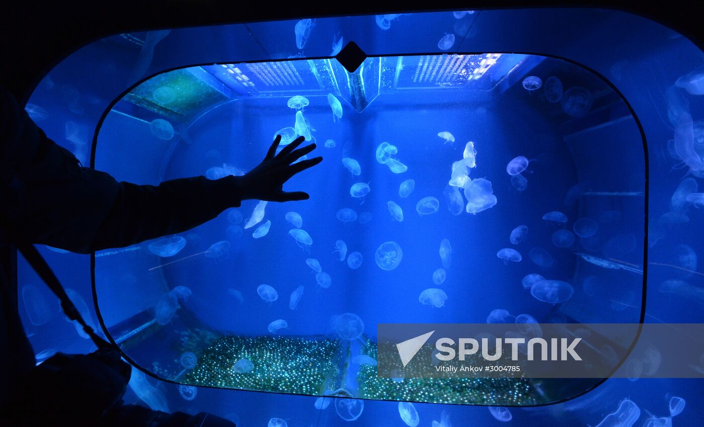 Primorsky Aquarium in Vladivostok