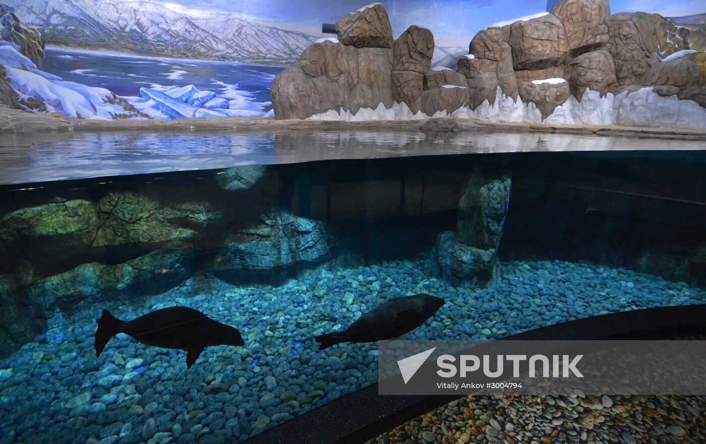 Primorsky Aquarium in Vladivostok