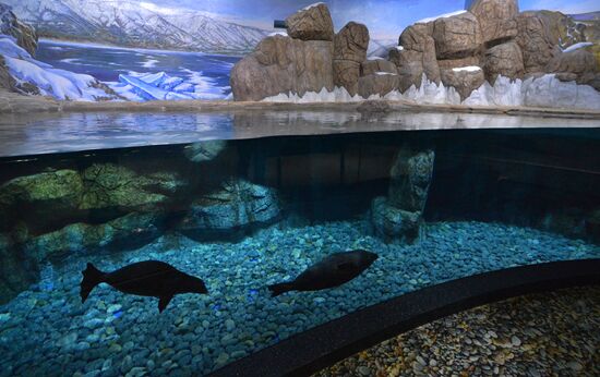 Primorsky Aquarium in Vladivostok