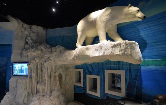 Primorsky Aquarium in Vladivostok