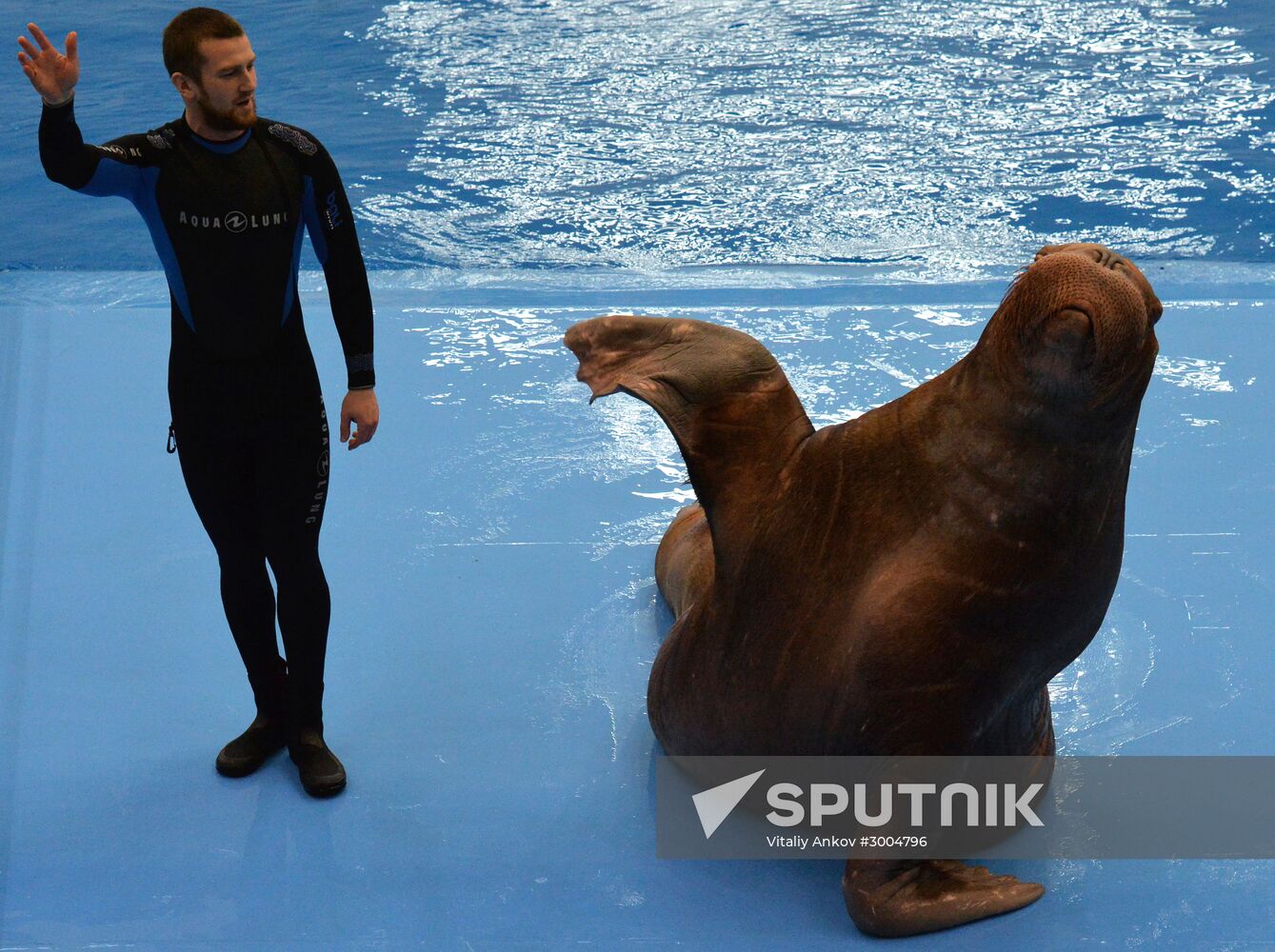 Primorsky Aquarium in Vladivostok