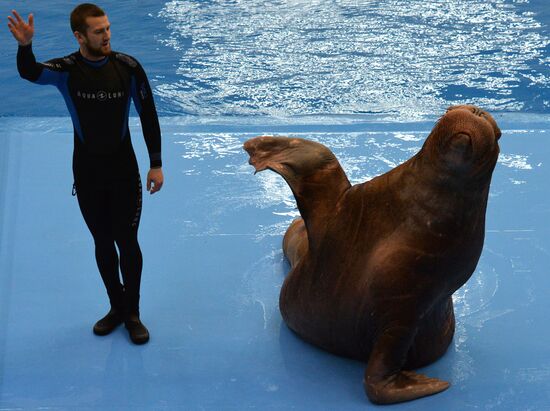 Primorsky Aquarium in Vladivostok