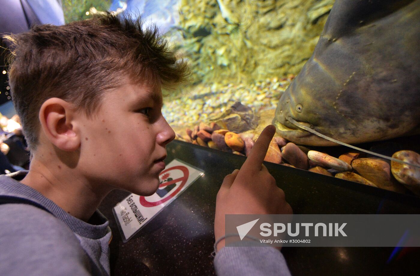 Primorsky Aquarium in Vladivostok