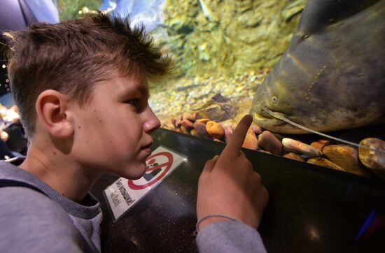 Primorsky Aquarium in Vladivostok