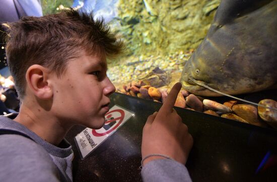 Primorsky Aquarium in Vladivostok