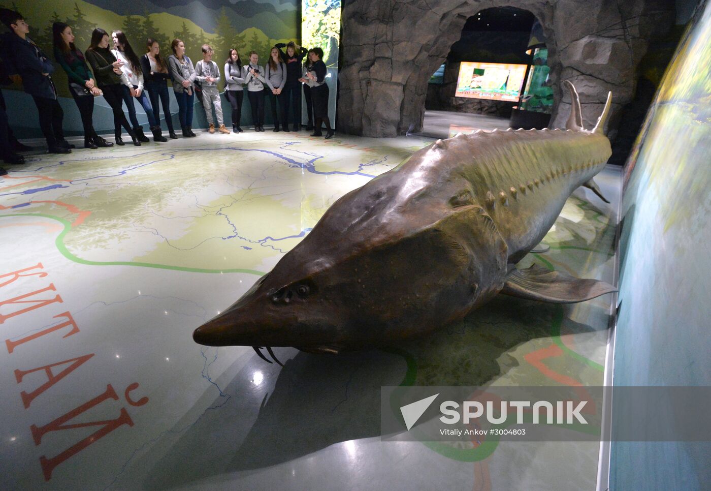 Primorsky Aquarium in Vladivostok