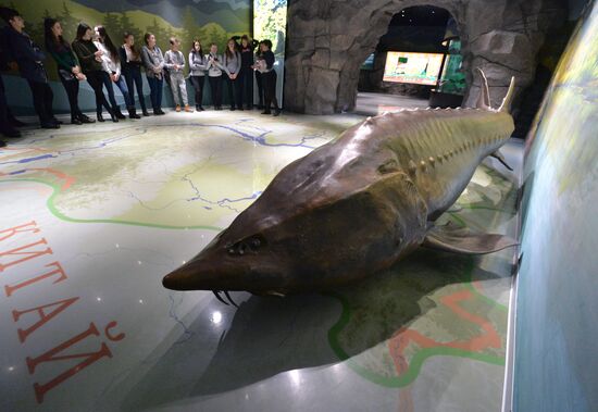 Primorsky Aquarium in Vladivostok