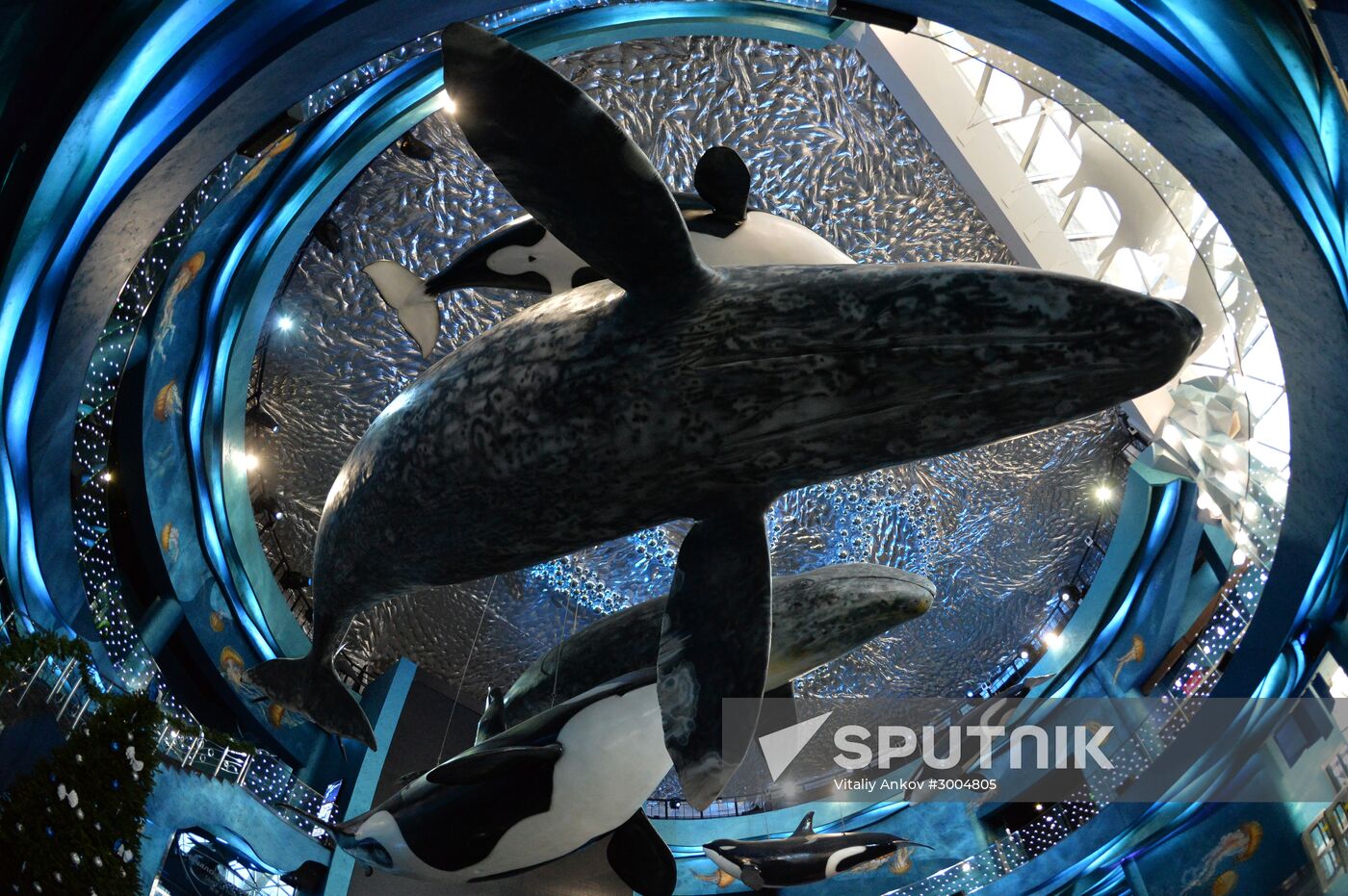 Primorsky Aquarium in Vladivostok