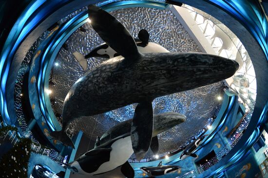 Primorsky Aquarium in Vladivostok