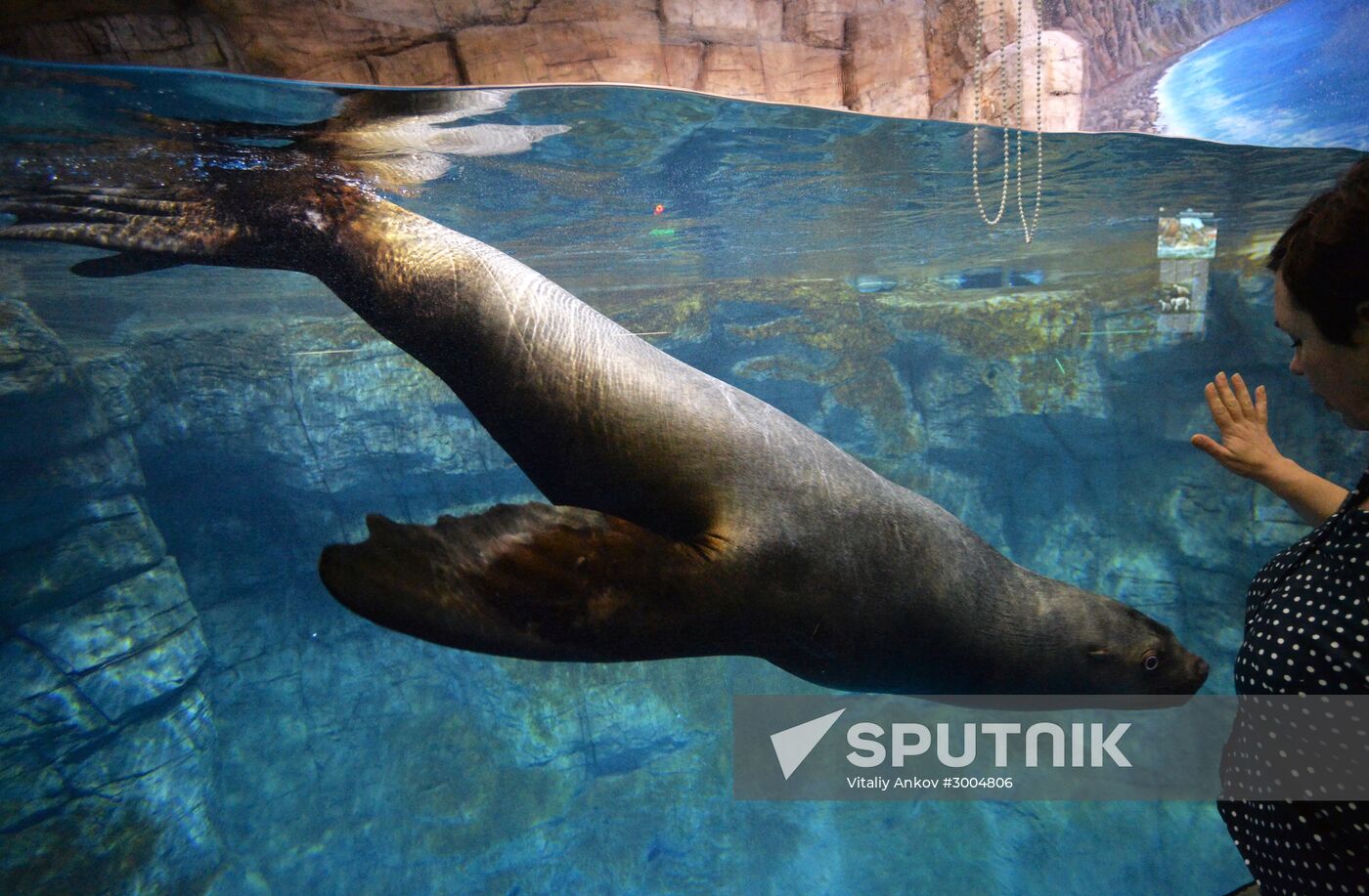 Primorsky Aquarium in Vladivostok