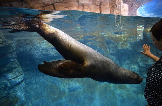 Primorsky Aquarium in Vladivostok