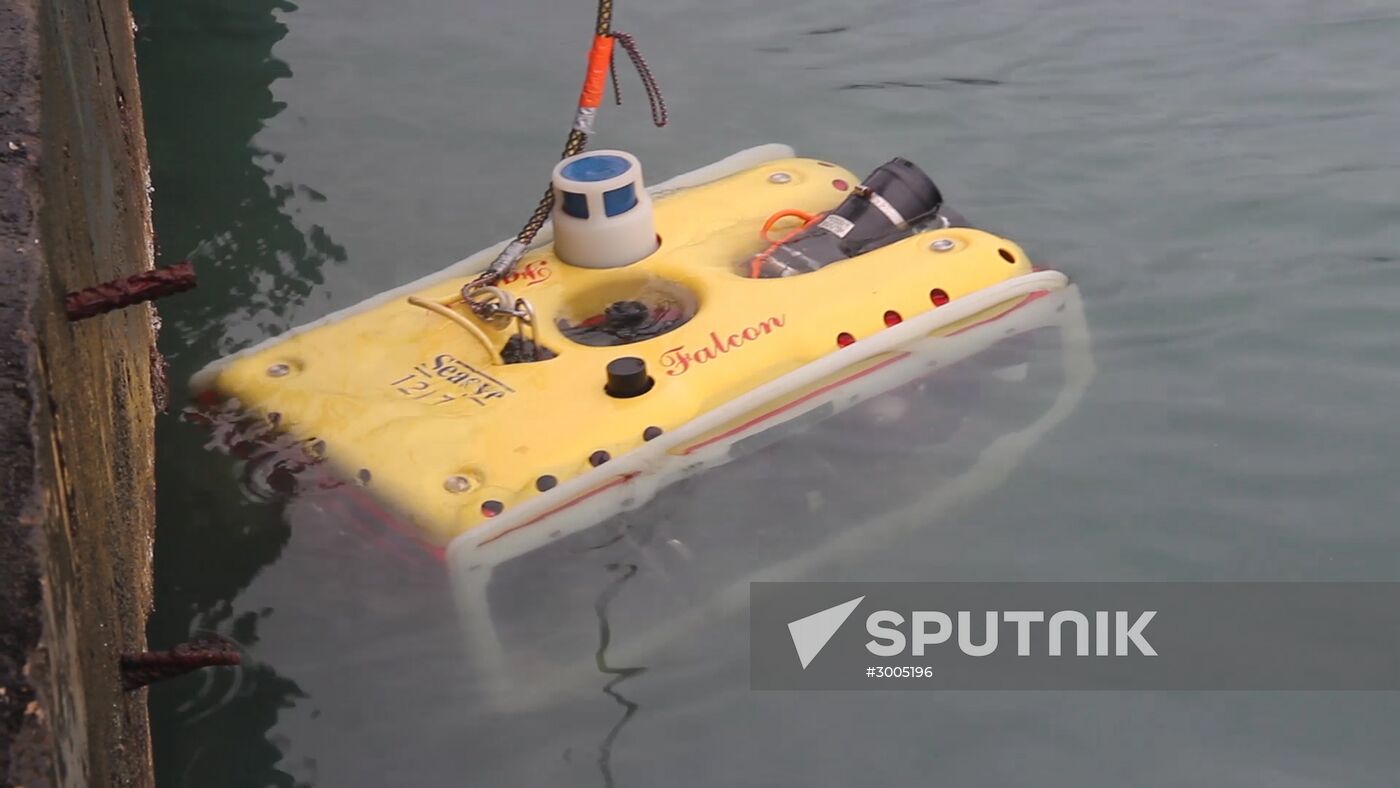 Search operations underway at Defense Ministry's Tu-154 crash site