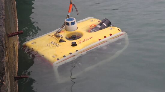 Search operations underway at Defense Ministry's Tu-154 crash site