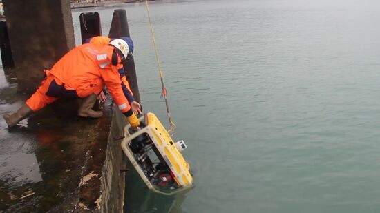 Search operations underway at Defense Ministry's Tu-154 crash site