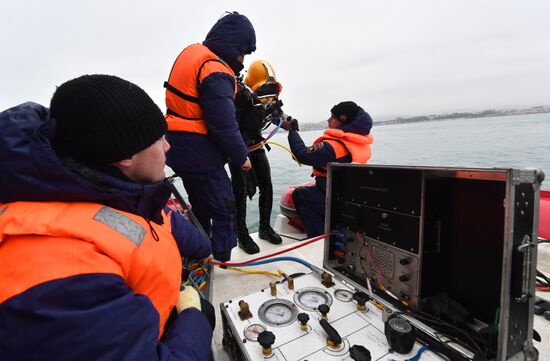 Search operations underway after Tu-154 crash in Black Sea