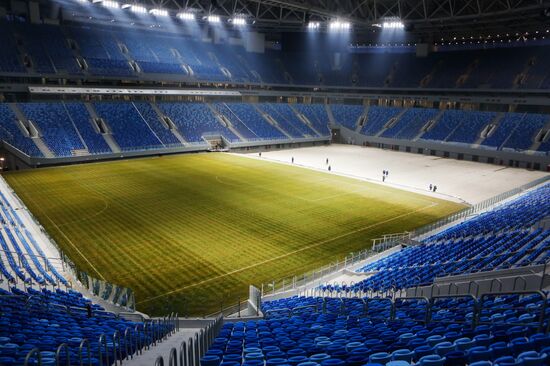 St. Petersburg Stadium — St. Petersburg