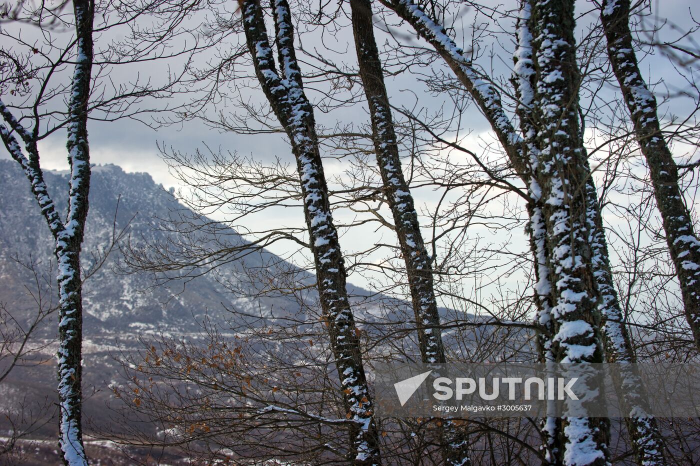 Winter in Crimea